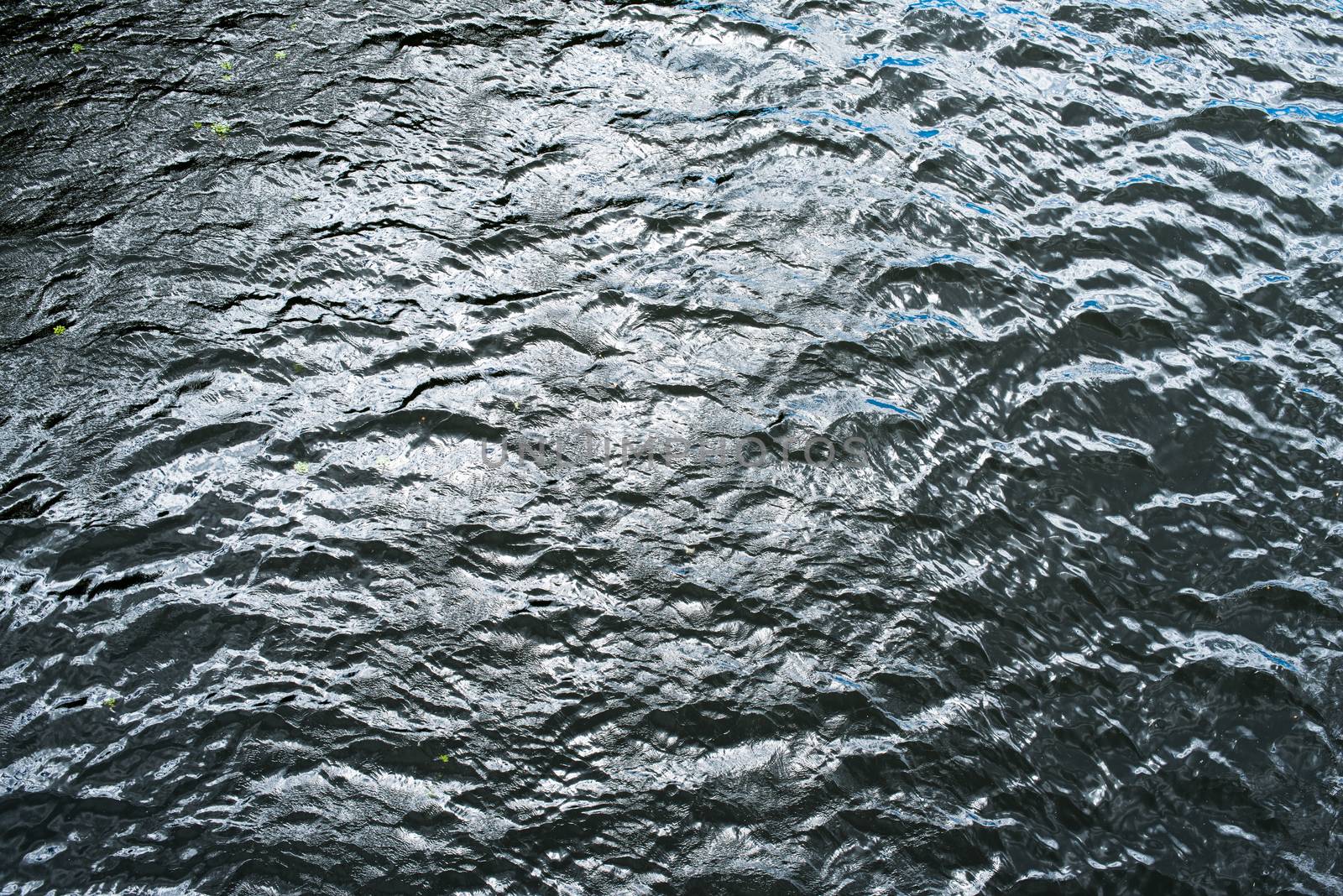 Cold and deep water surface with ripples by rootstocks