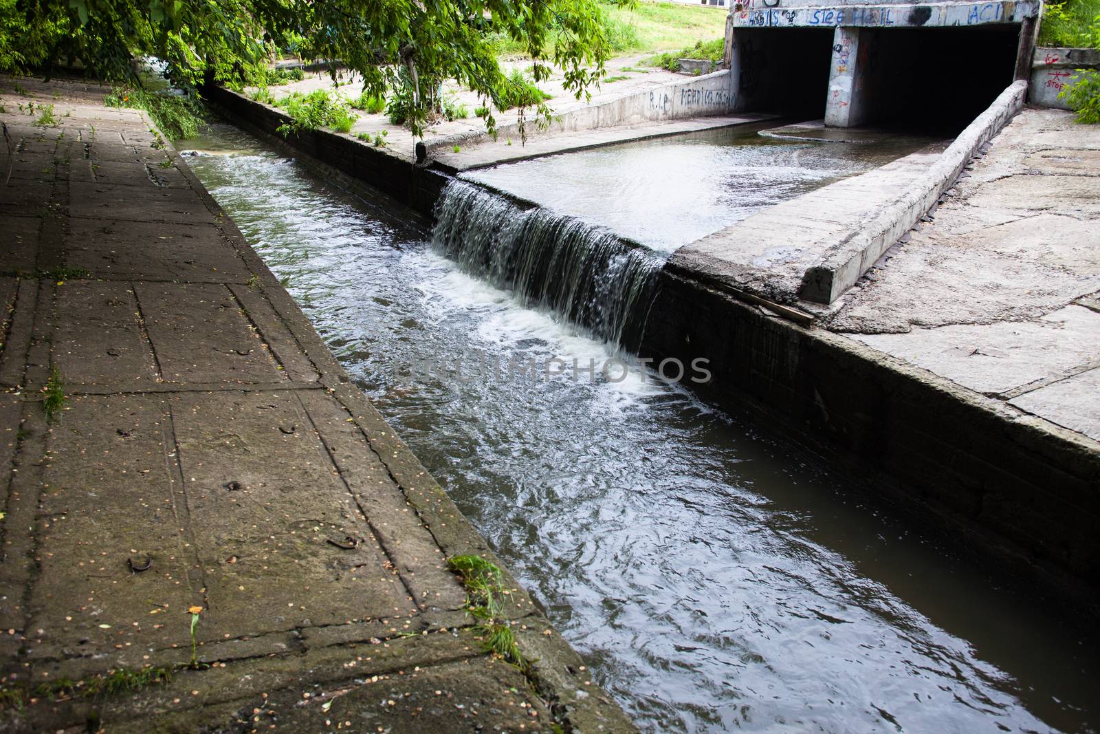 Water stream flowing out the underground tunnel by rootstocks