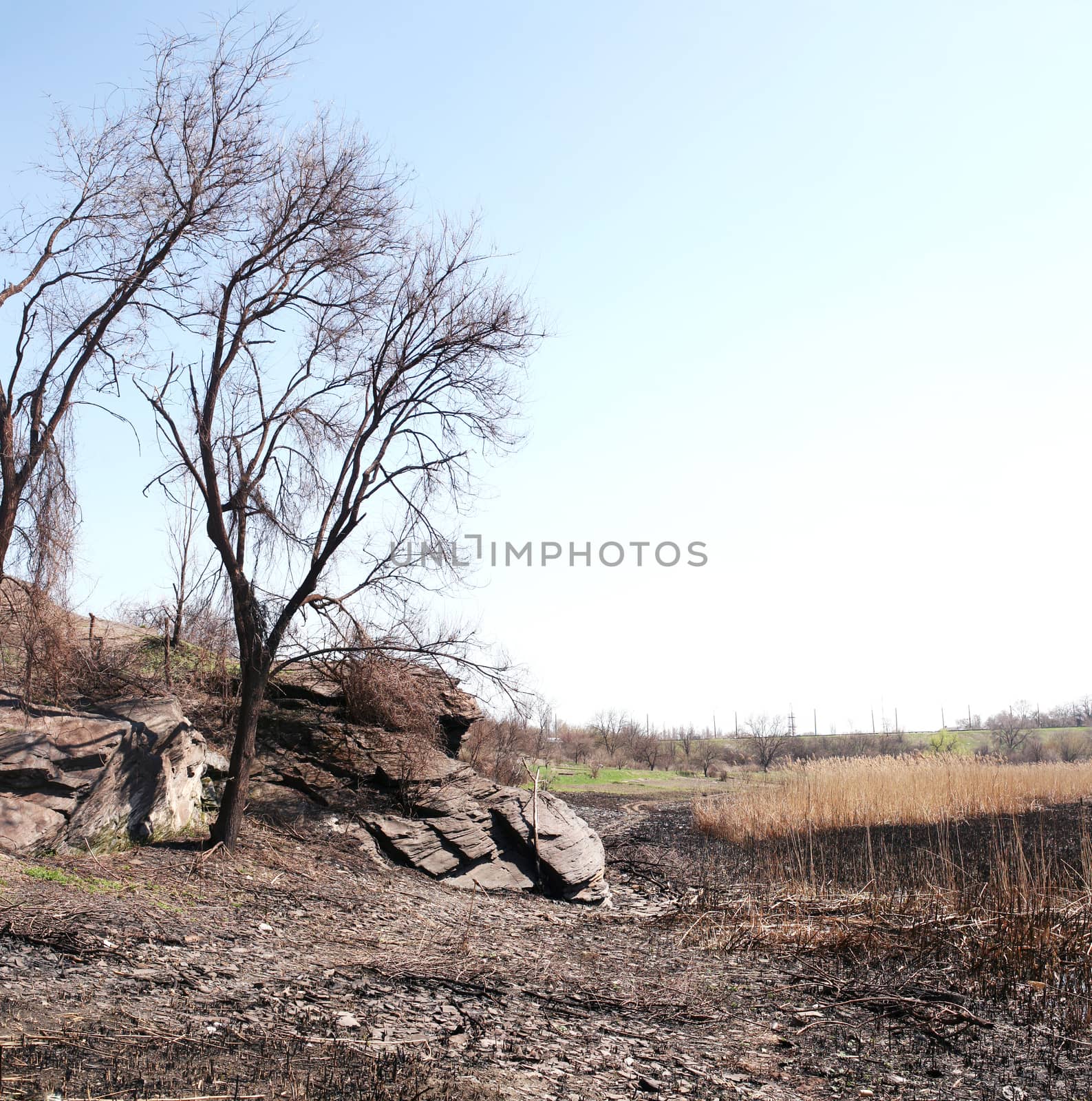 Desolation on the dry riverbed by Krakatuk