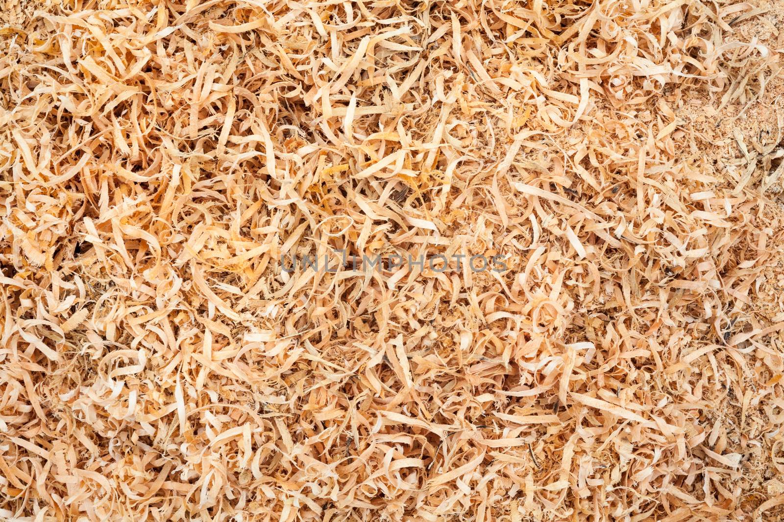 Wood sawdust by rootstocks
