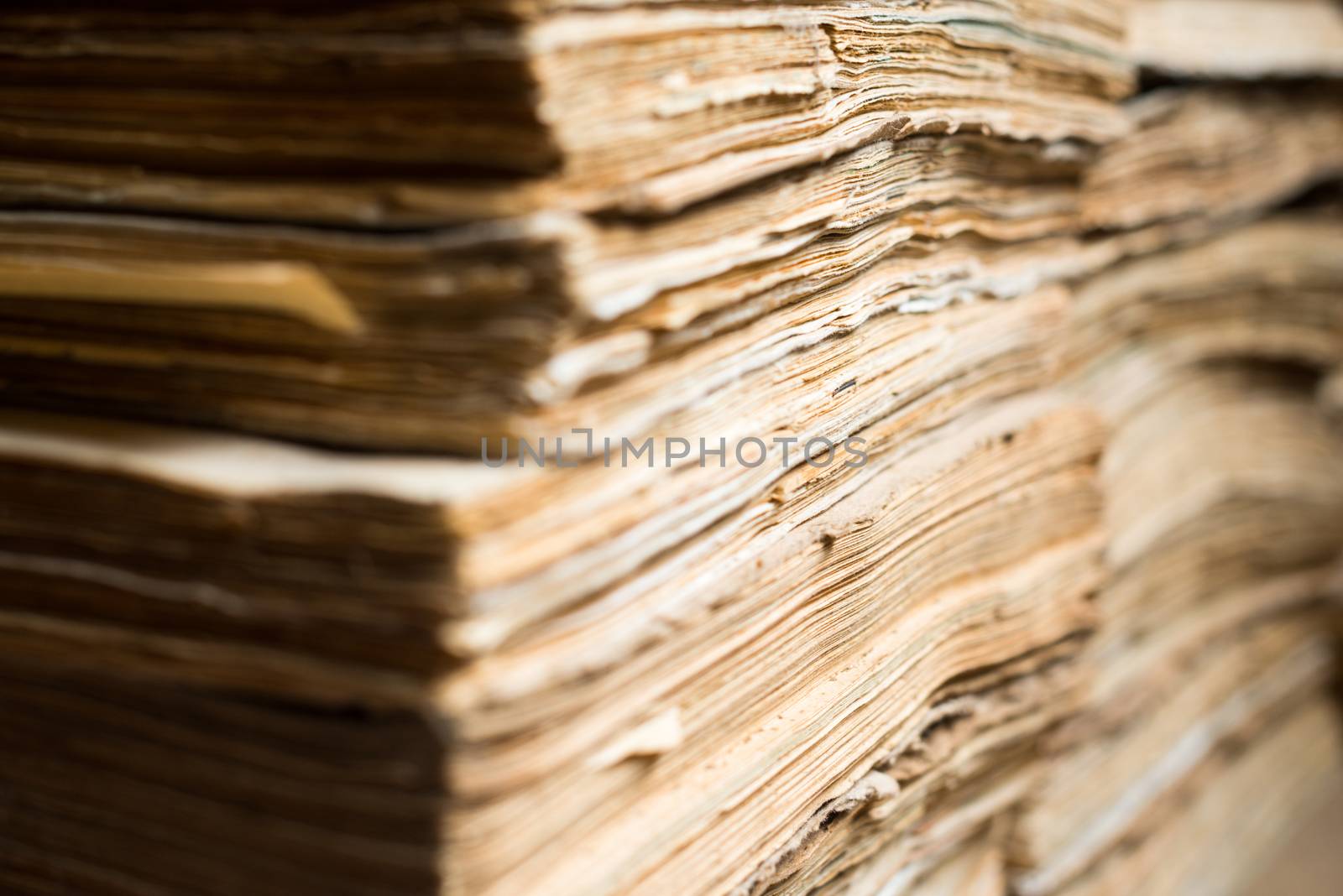 Old paper documents in the archive by rootstocks