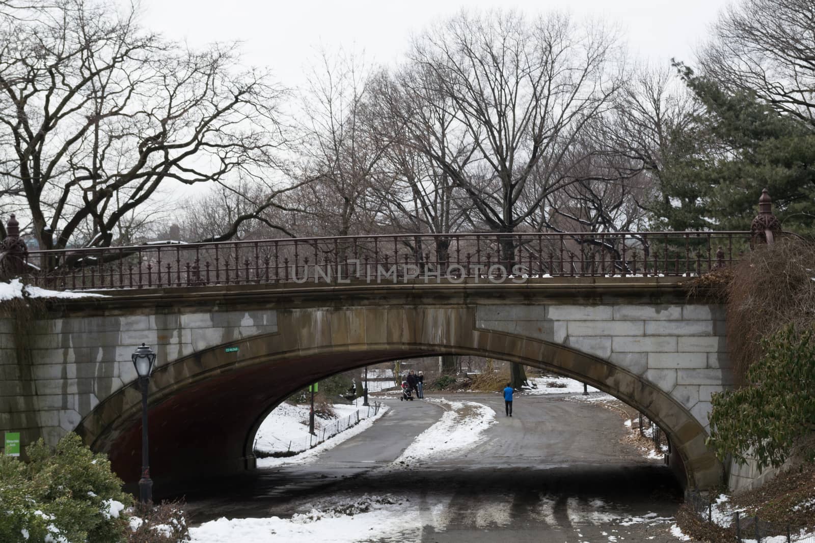 The Winterdale arch was completed in 1862 and is one of the many bridges that you can find in Central park