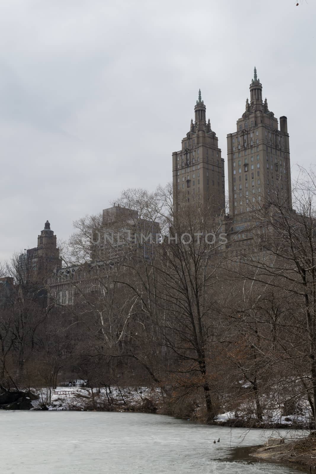 Eldorado, located on the Upper West side is one of the most iconic buildings  that can be seen from Central Park