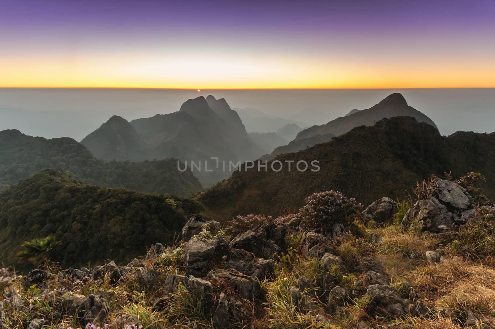 Beautiful sunset in rainforest at Doi Luang Chiang Dao ,Thailand by ngungfoto