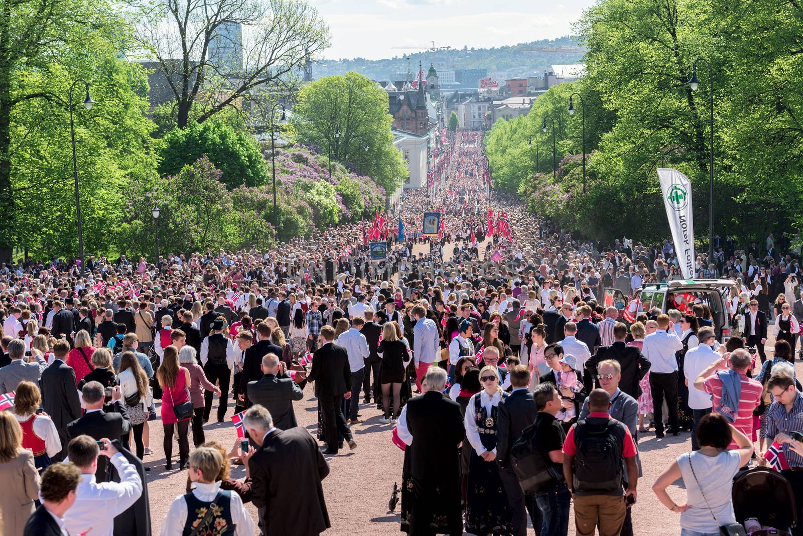 Norwegian Constitution Day on Karl Johan street by Nanisimova