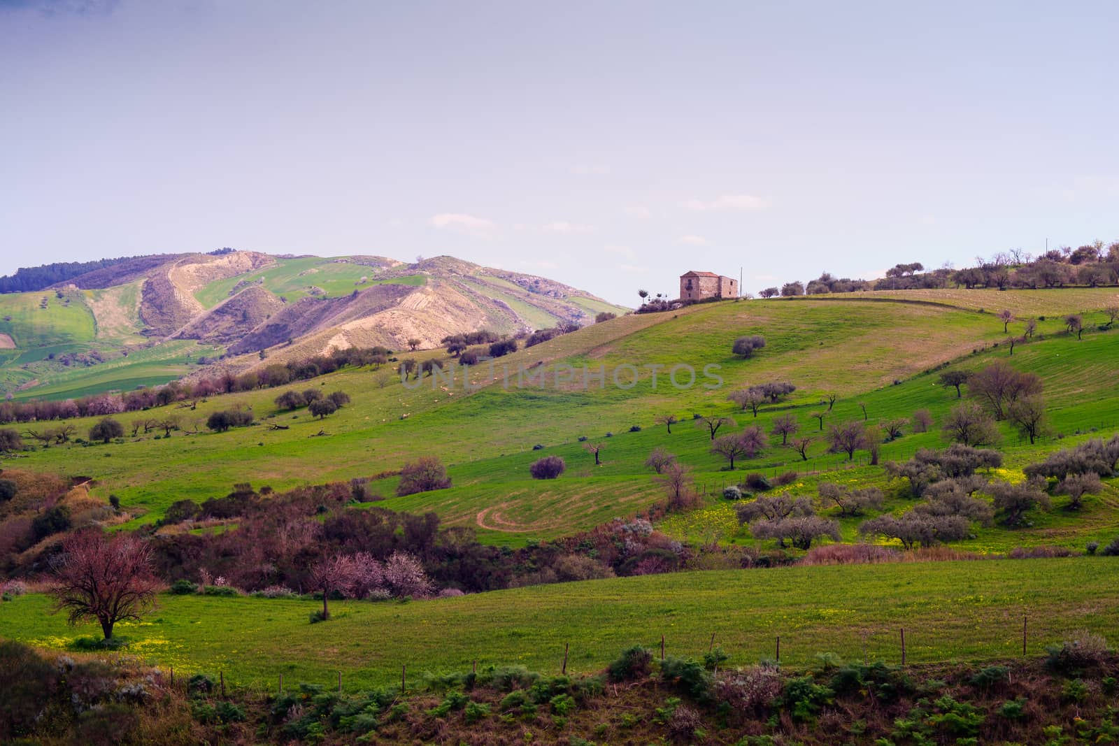 View of Sicilian countryside in the spring season
