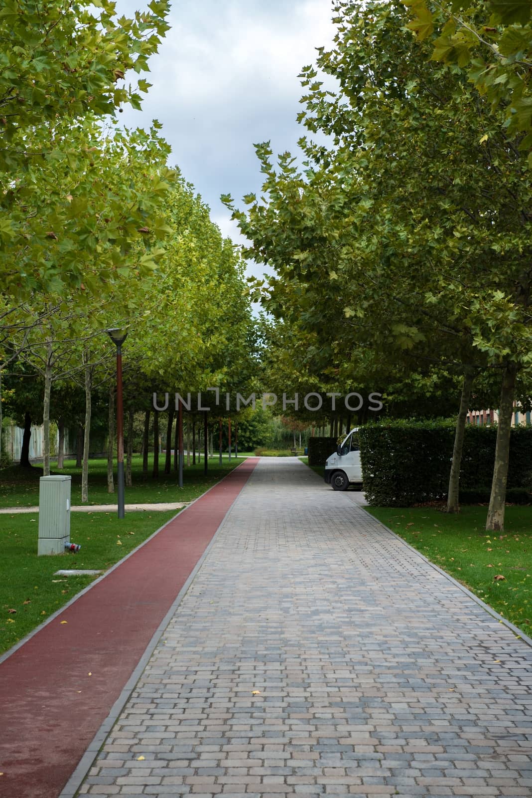 Walking path in the empty park daytime 