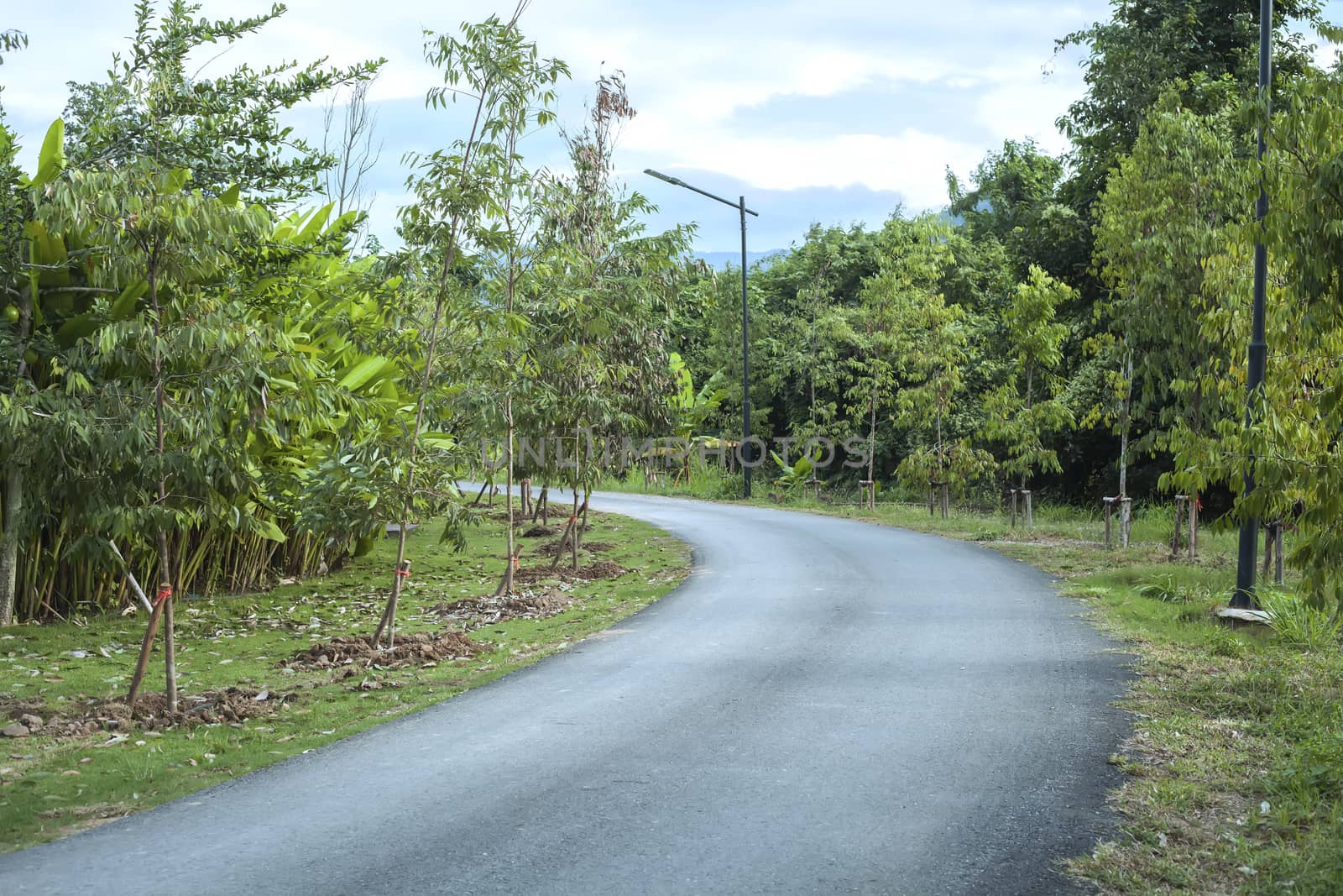 The bend of the country road