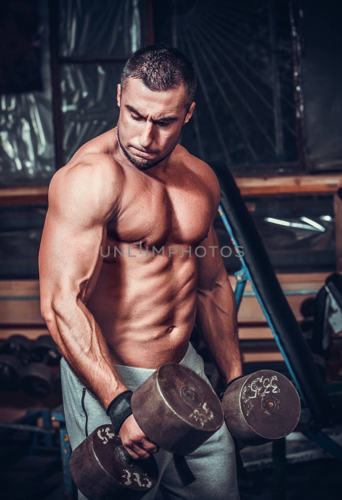 Muscular bodybuilder doing exercises with dumbbells 