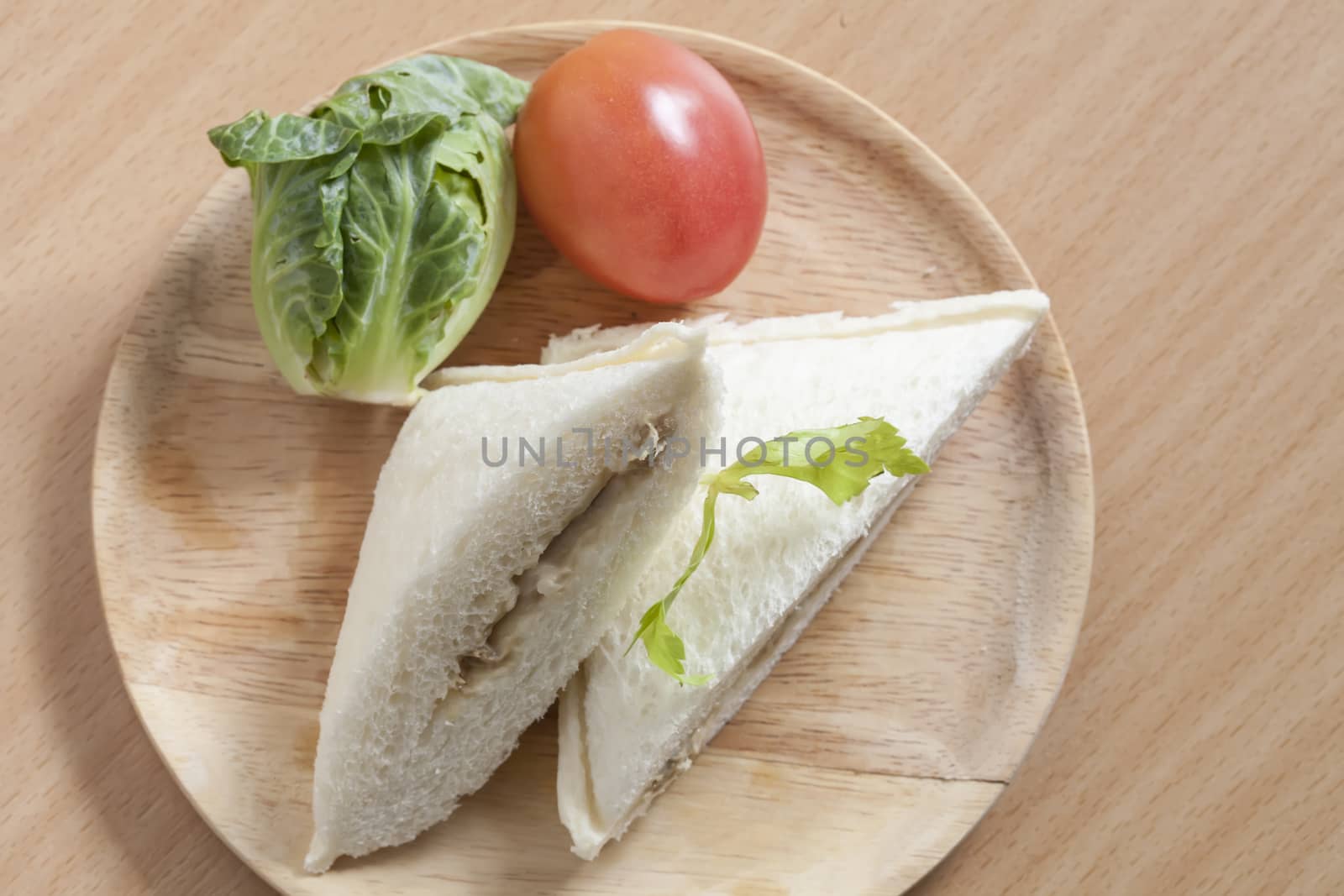 The Tuna sanwich
