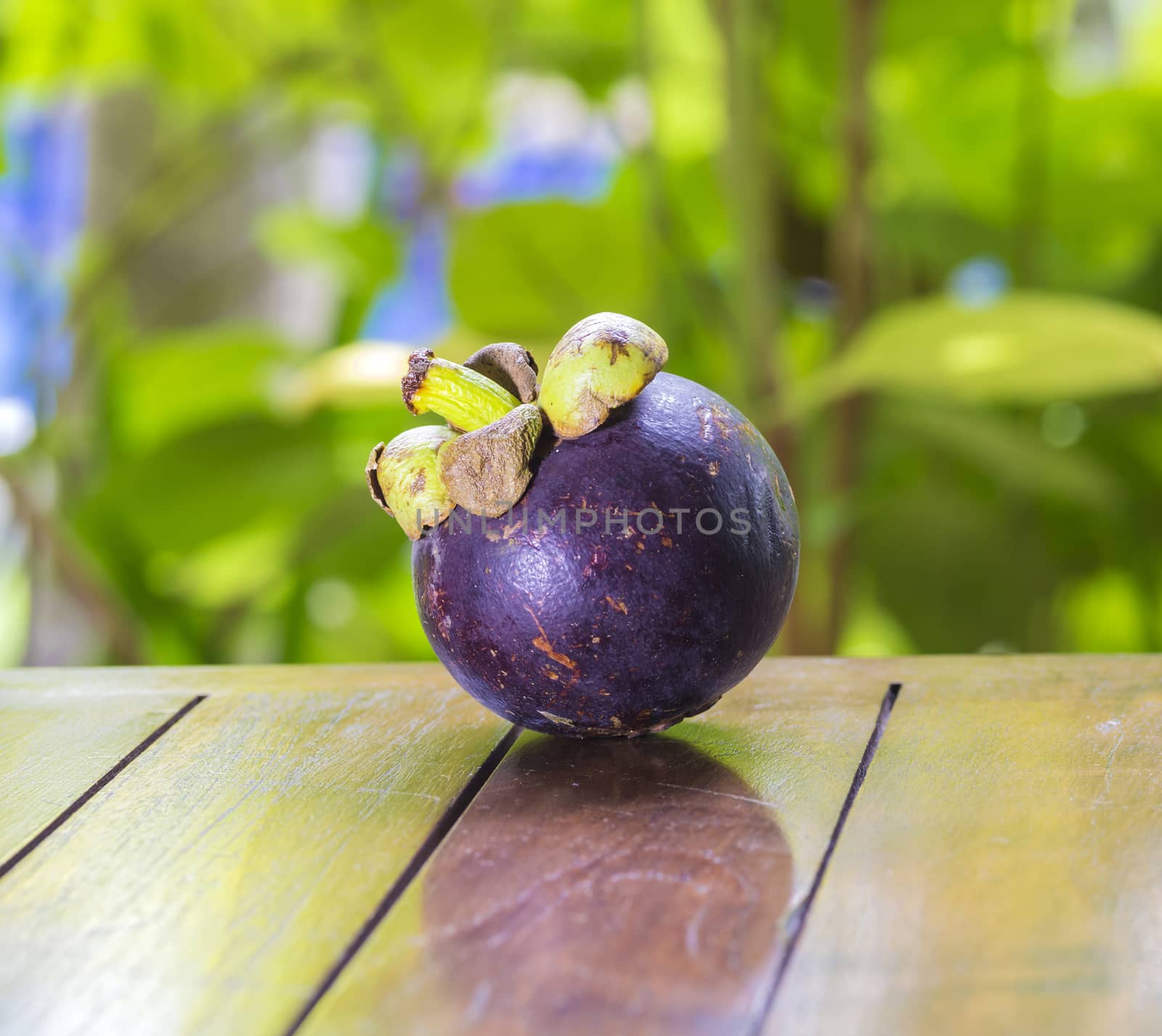 Single Mangostin and Fresh Green Leaf on Wooden Table