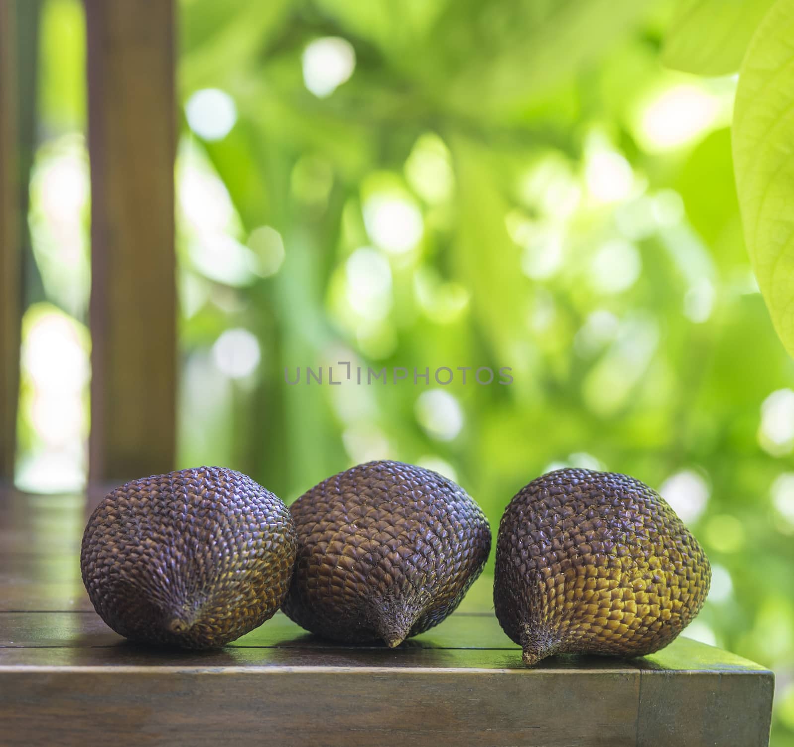 Snake Fruit. by truphoto