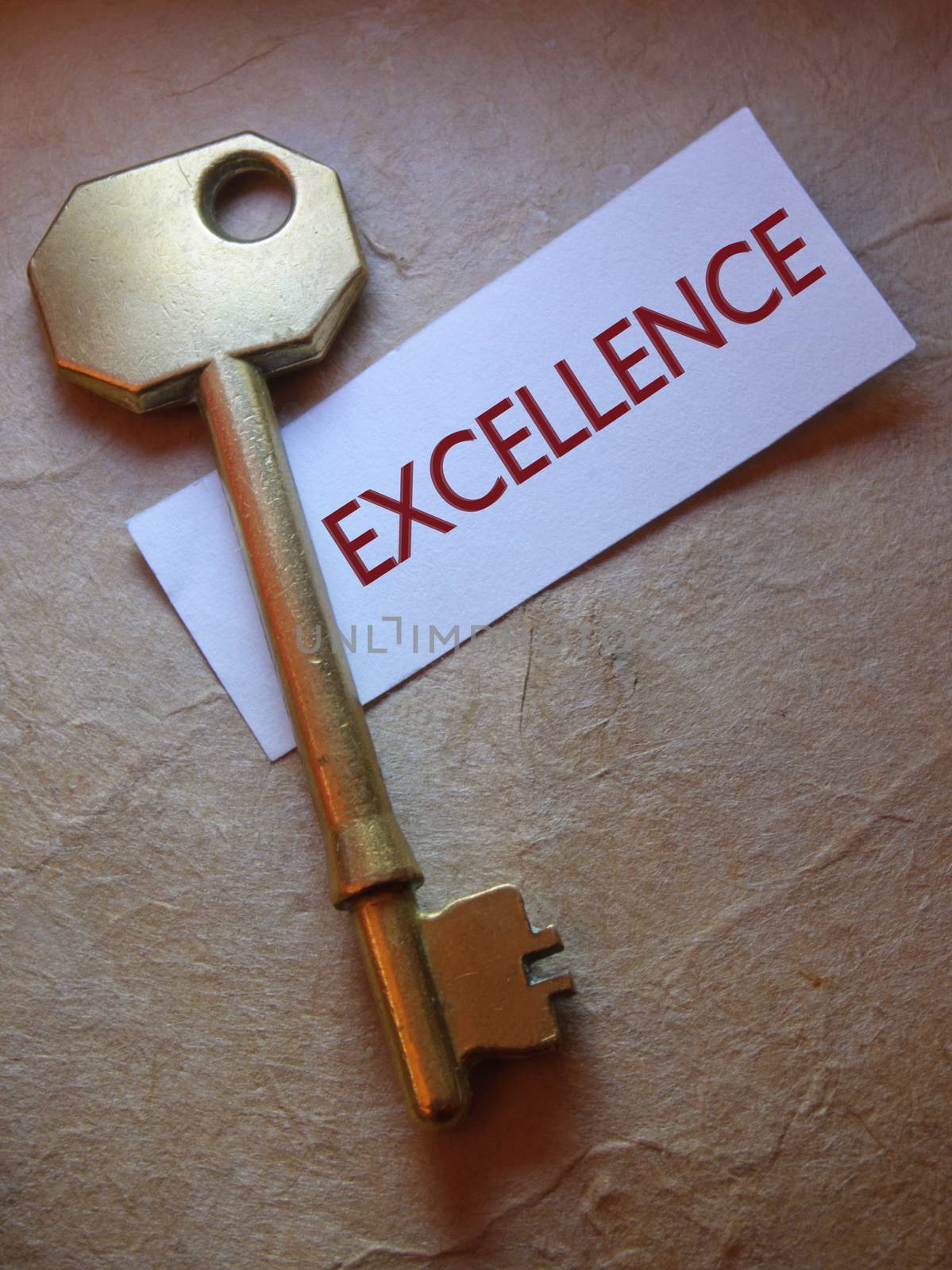 Close up of a golden key with excellence label 
