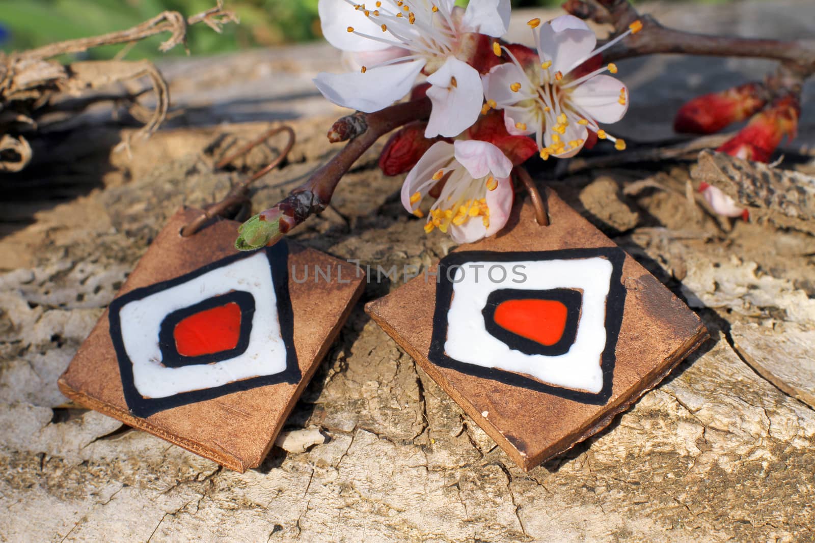 Handmade clay earrings with apricot blossom in spring on the nature background