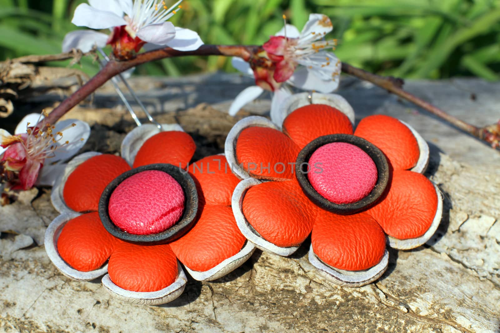 Handmade leather flower earrings with apricot blossom in spring on the nature background