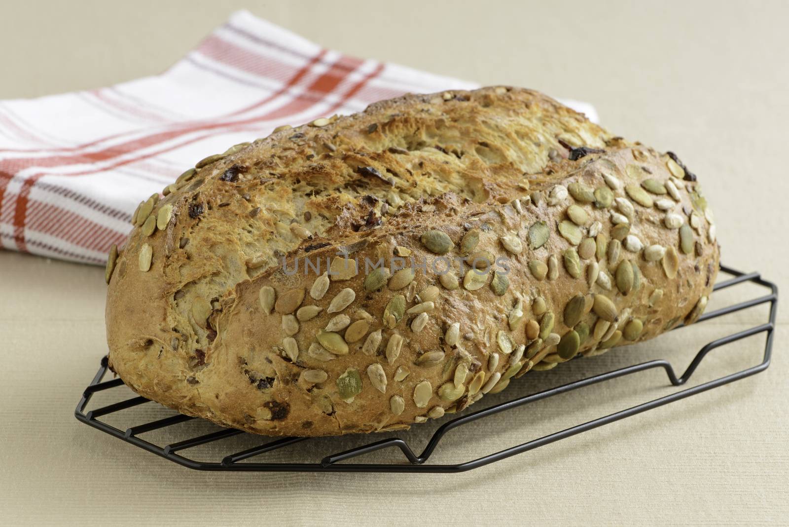 Cranberry Pumpkin Seed Bread by billberryphotography
