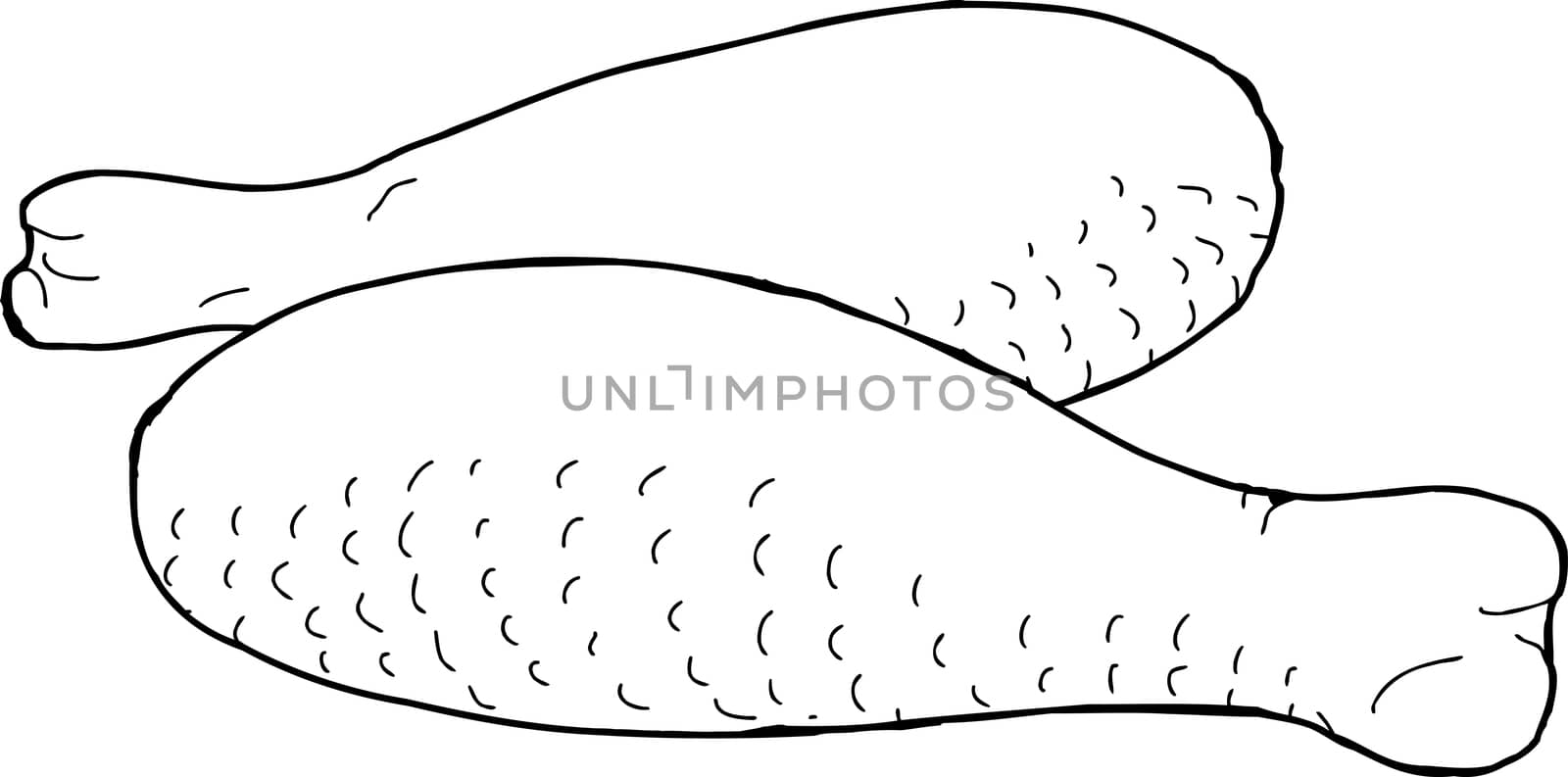 Pair of raw chicken legs as outline illustration