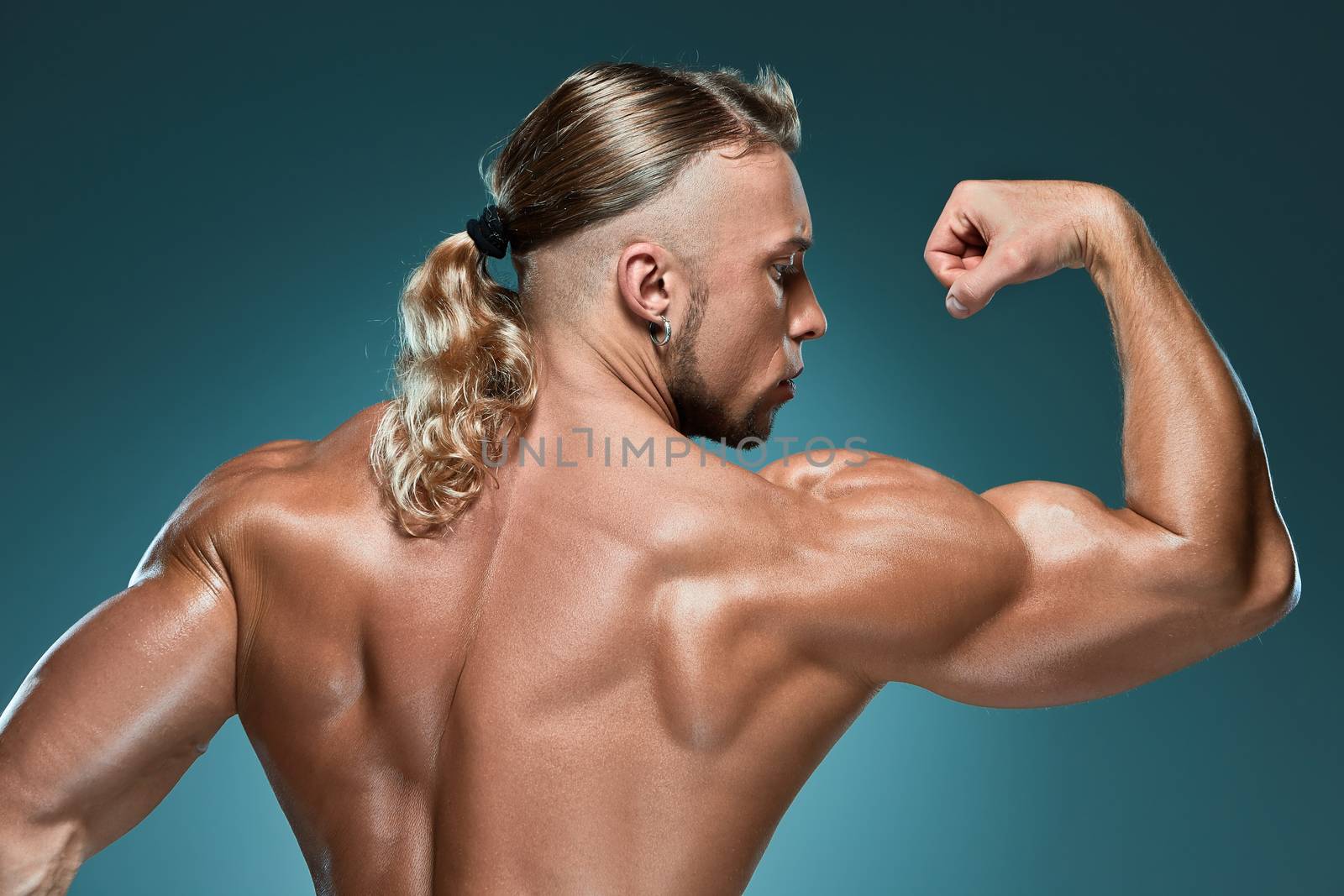 torso of attractive male body builder on blue background.