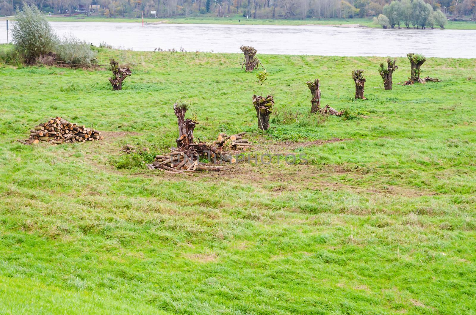 Overlooking the floodplains near the city Zons.