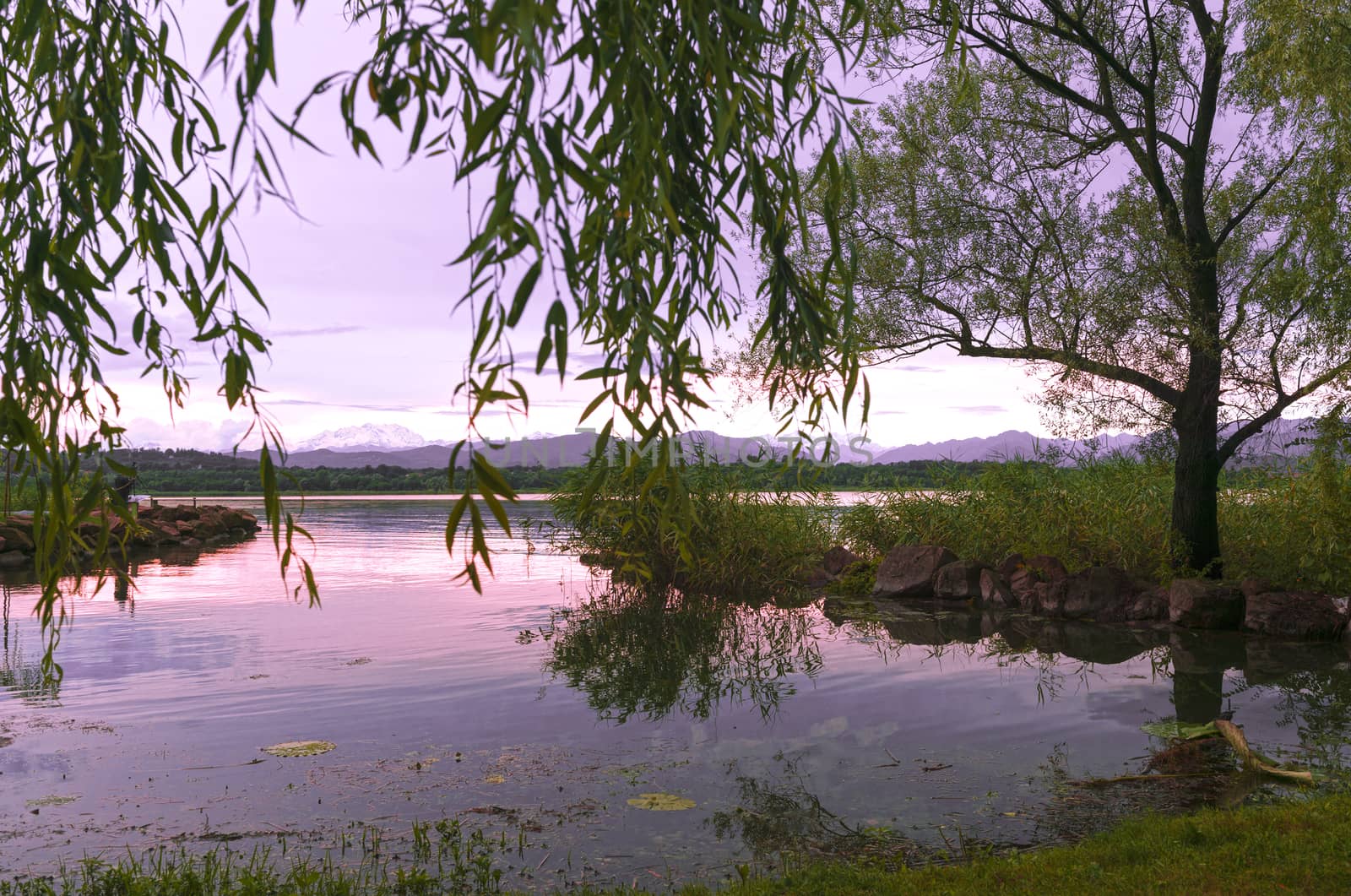 Colorful sunset on the Varese lake in a summer afternoon vier from little port of Cazzago Brabbia, Varese - Lombardy, Italy