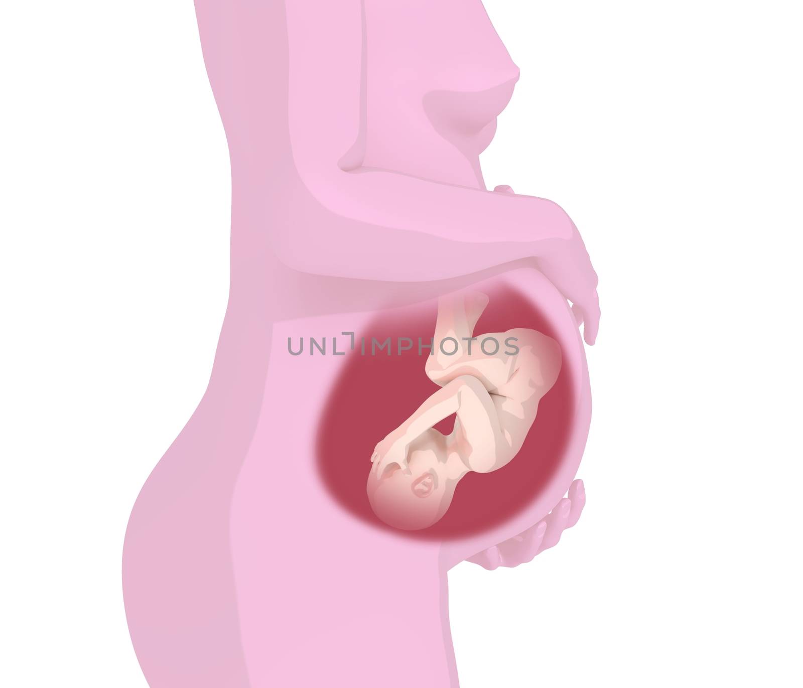 Illustration of a child inside the womb of the mother