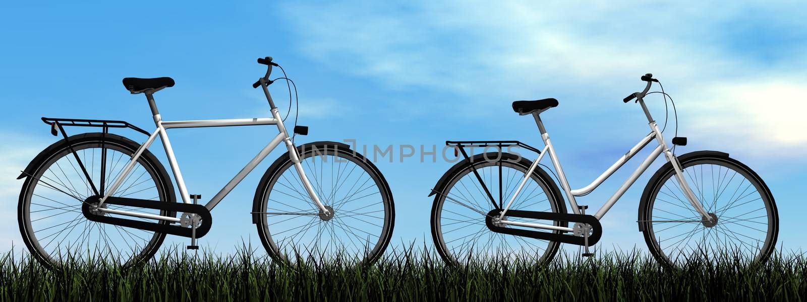 Male and female bicycles - 3D render by Elenaphotos21