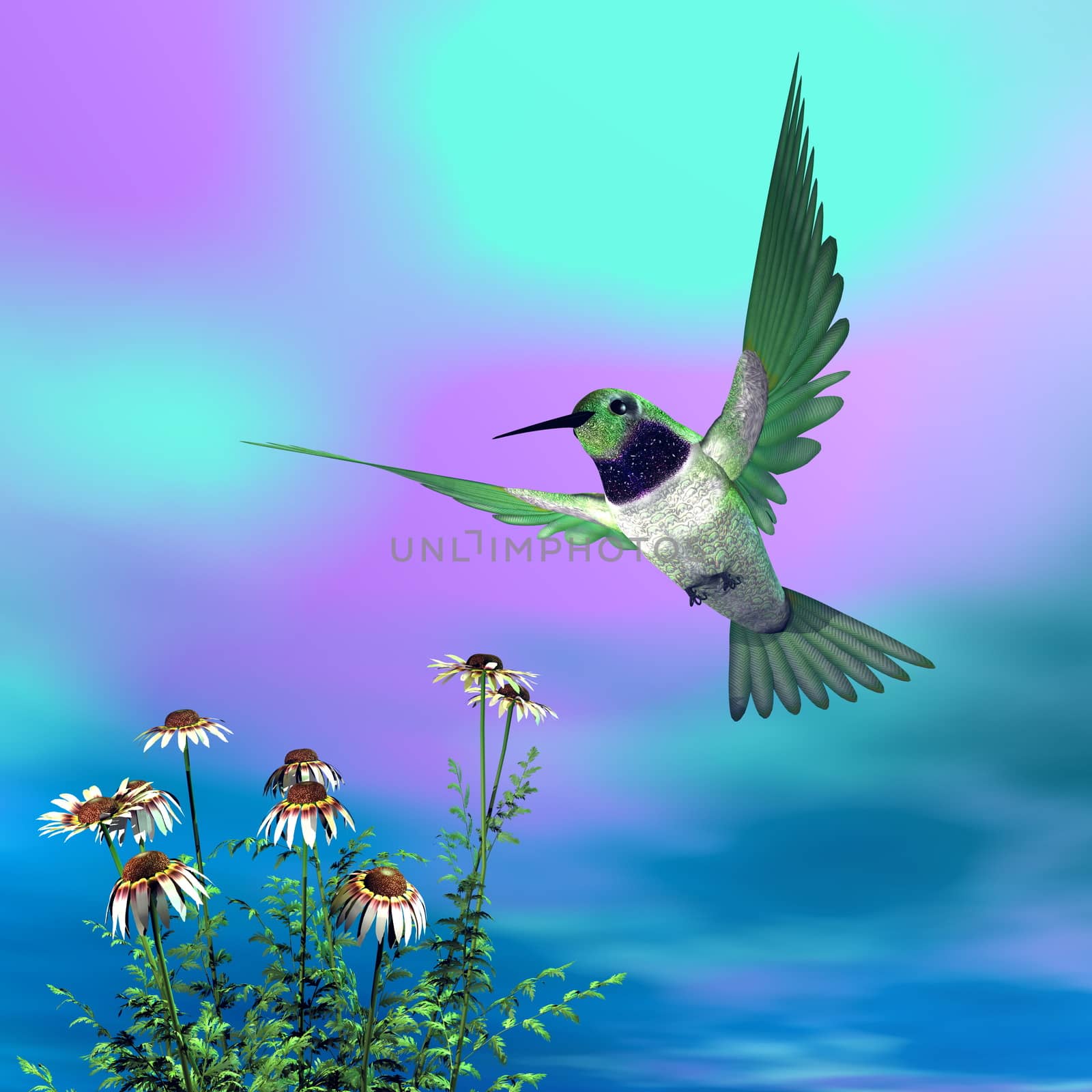 Black-chinned hummingbird flying upon white daisies - 3D render