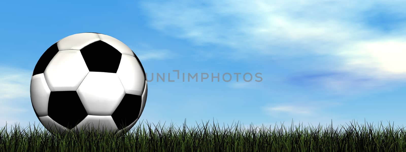 Soccer ball on the grass - 3D render