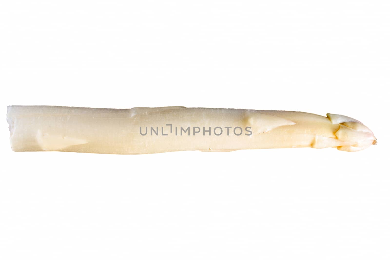 cut out white asparagus on a background