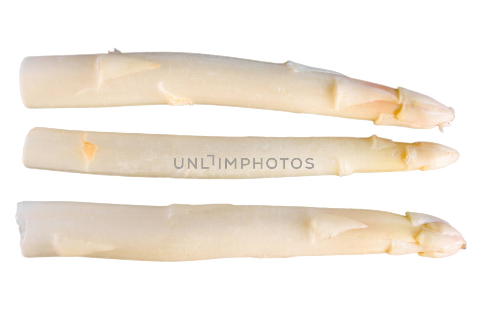 cut out white asparagus on a background