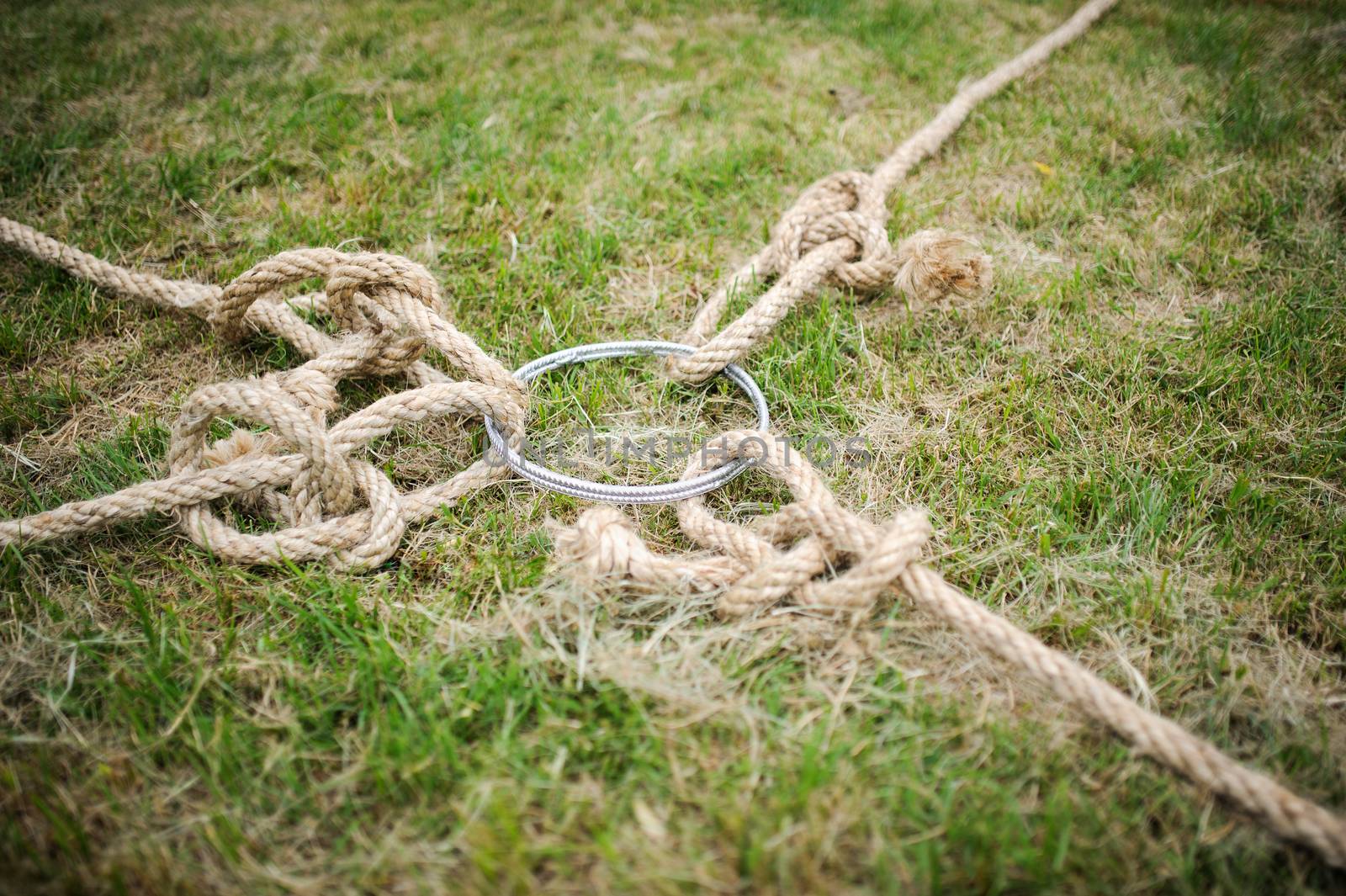 team building tug of war