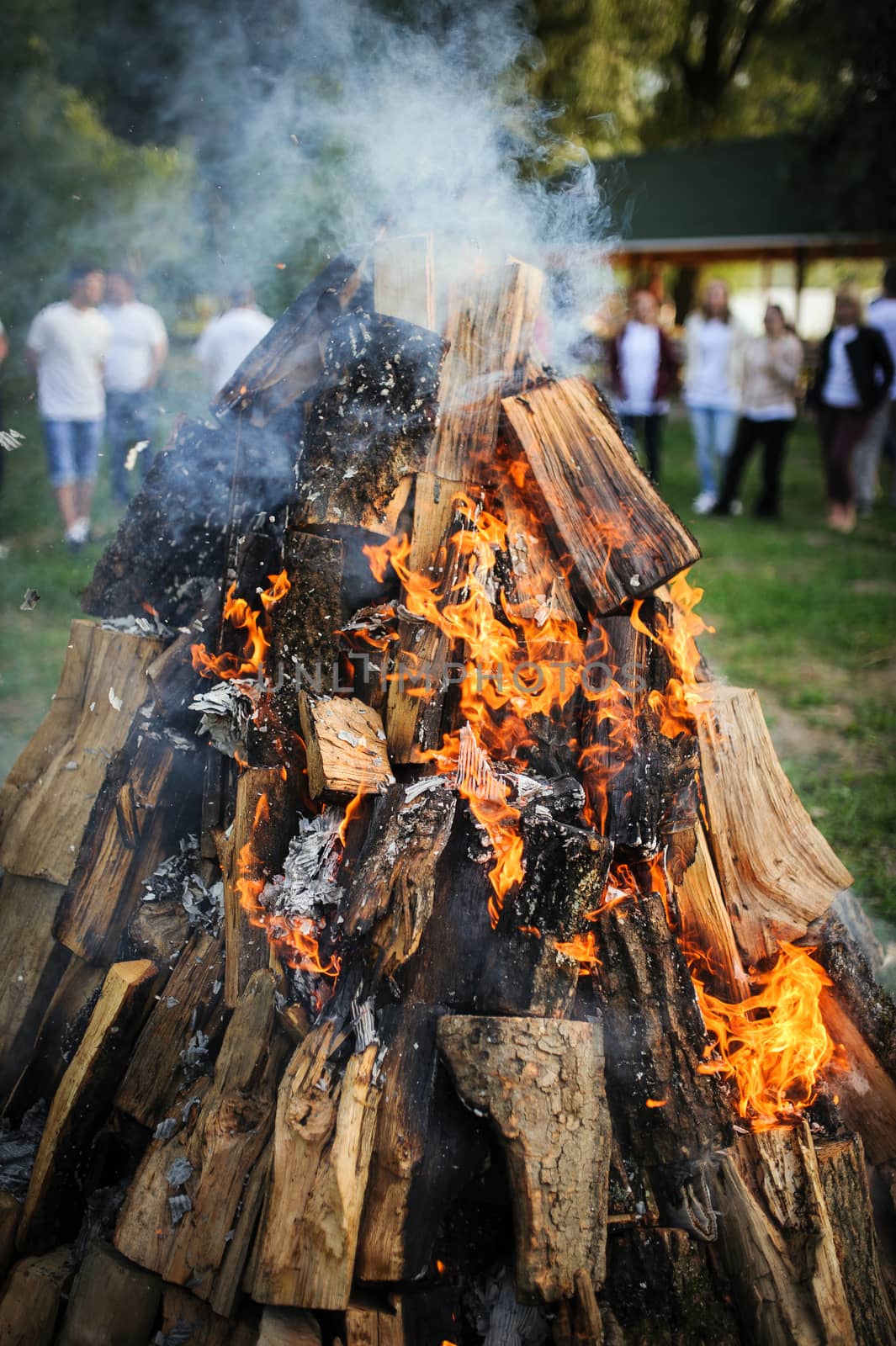 Firewood by eugenelucky