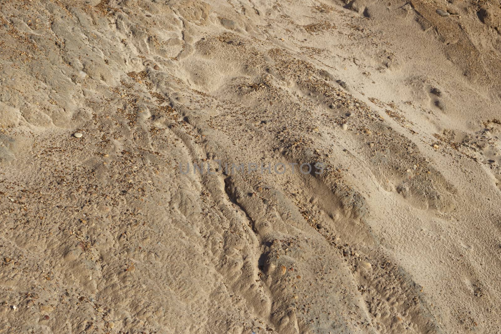 Small gravel stones texture background,sand and shells