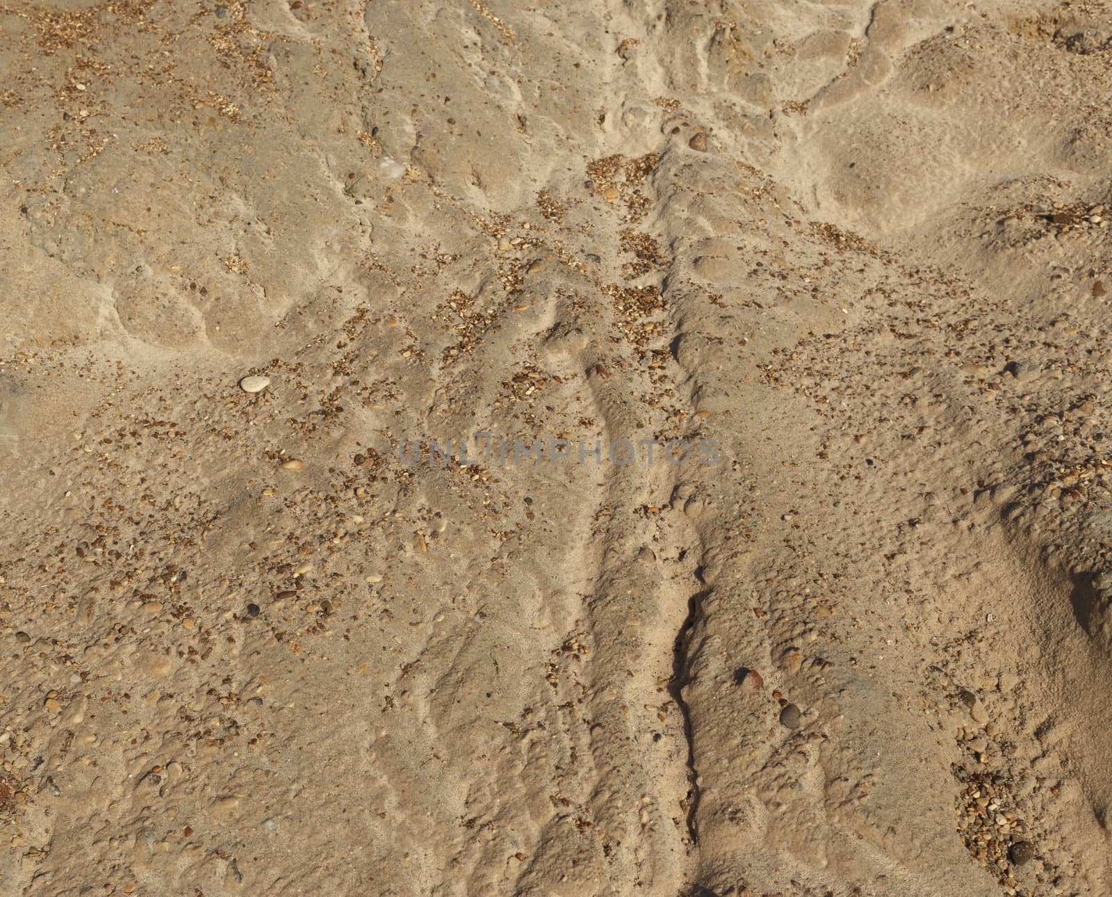 Small gravel stones texture background,sand and shells