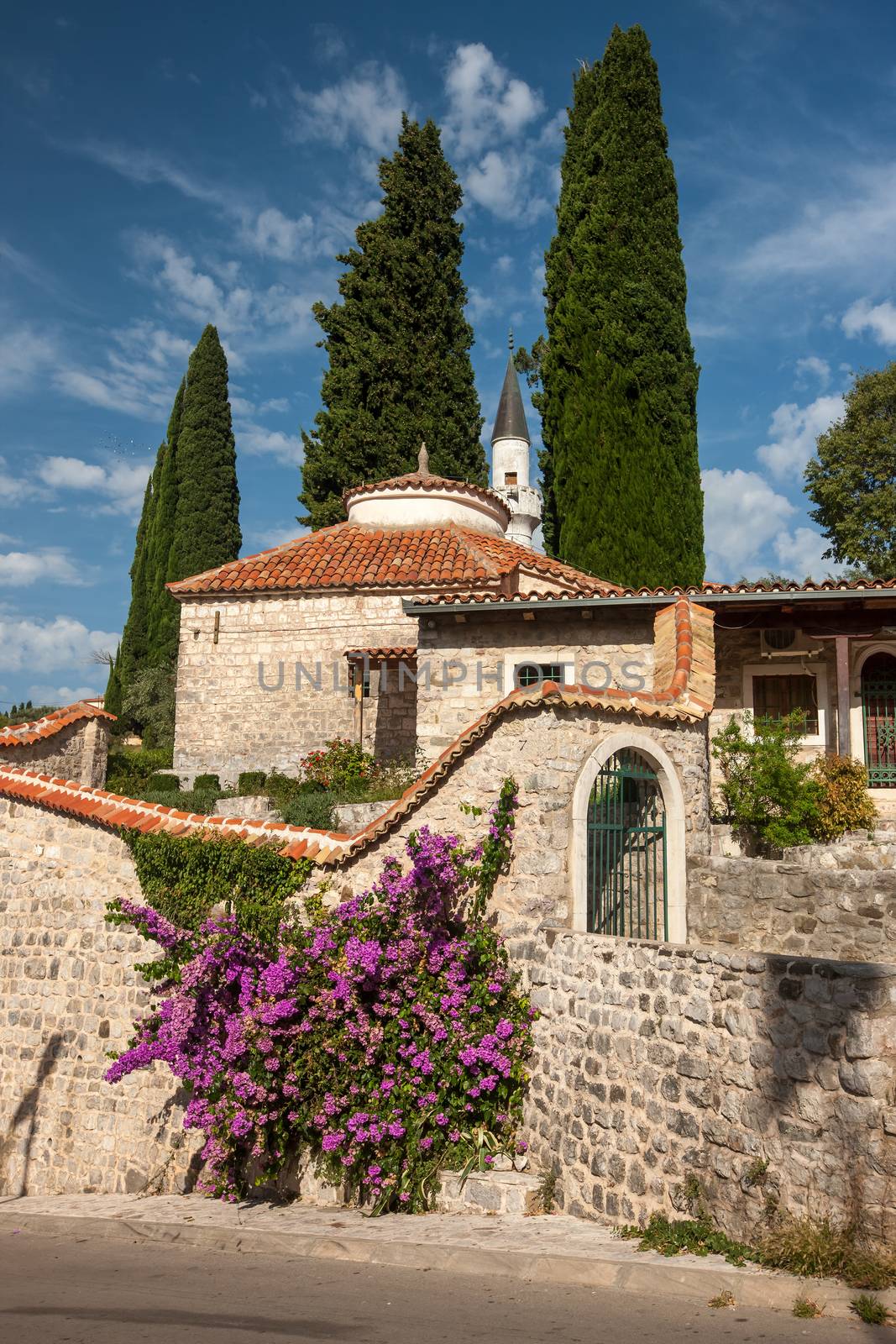 The old street in Montenegro. flowers on old stone wall