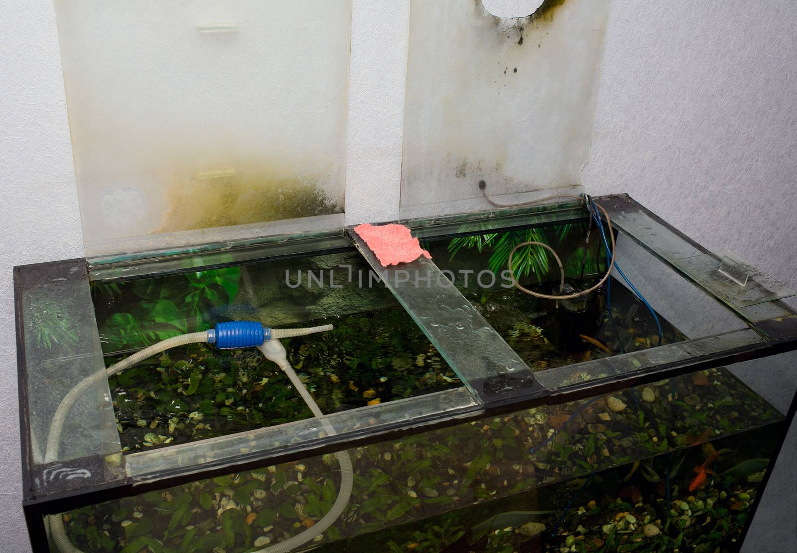 Top view of a rectangular glass aquarium contaminated during the cleaning process