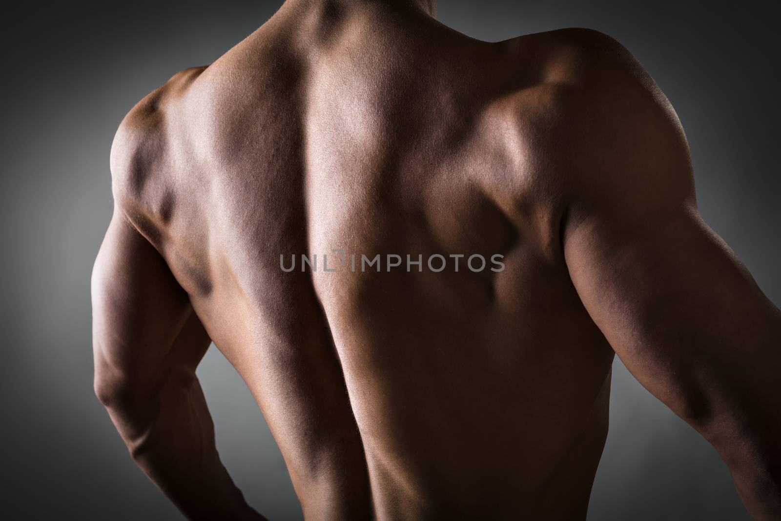 Back of a young man with well trained body, triceps, lats and rhomboid muscle