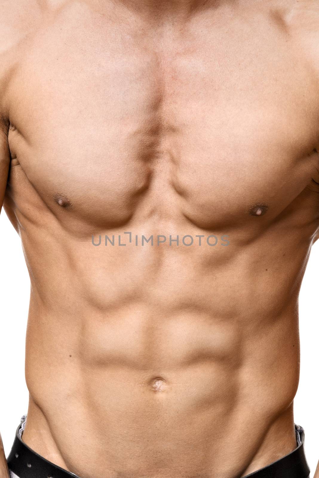 Abdominal muscle of young man by w20er