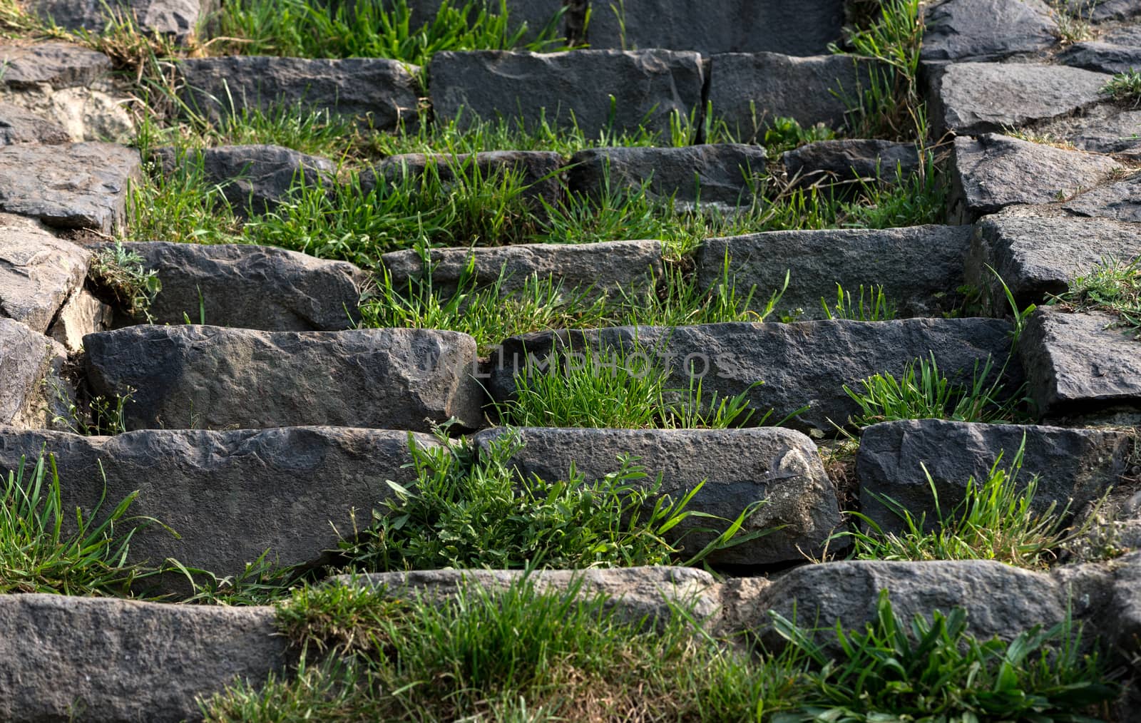 stone steps in old castle by DNKSTUDIO