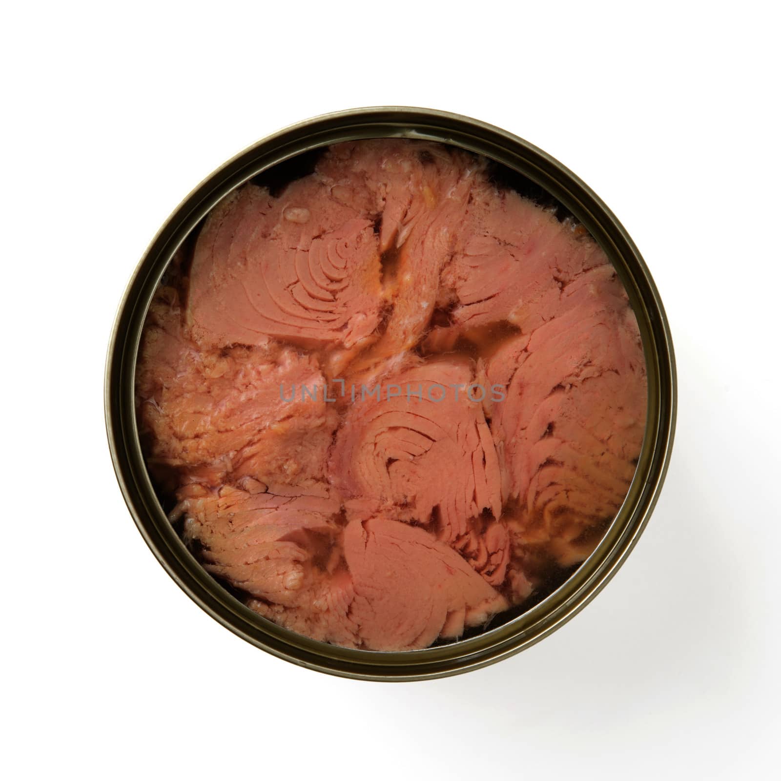 canned tuna isolated on white