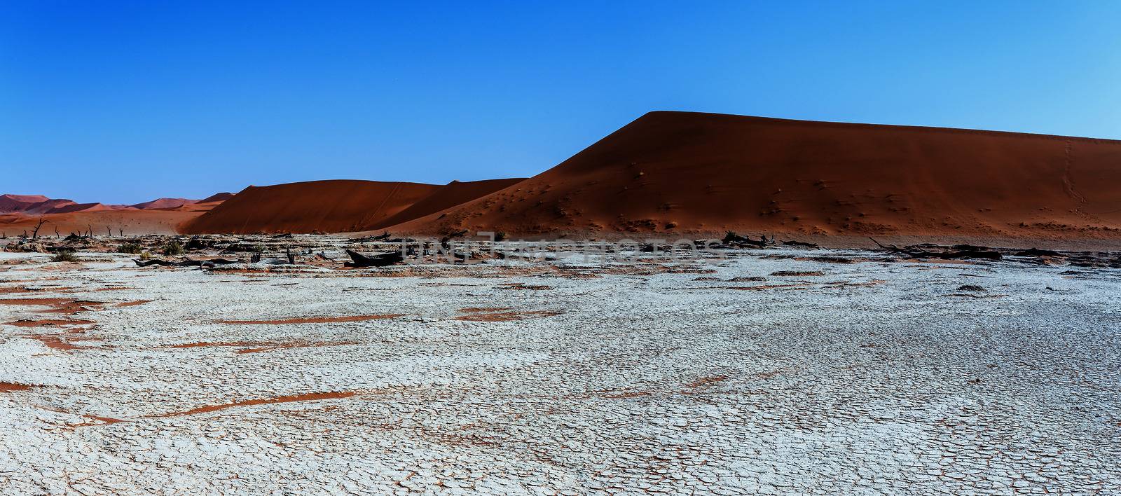 beautiful landscape of Hidden Vlei in Namib desert panorama by artush