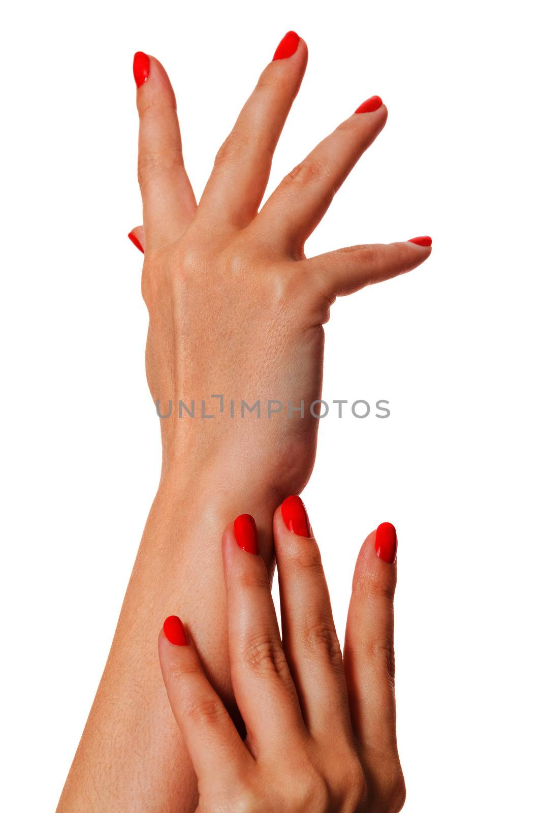 Woman with beautiful manicured red fingernails gracefully crossing her hands to display them to the viewer on a white background in a fashion, glamour and beauty concept