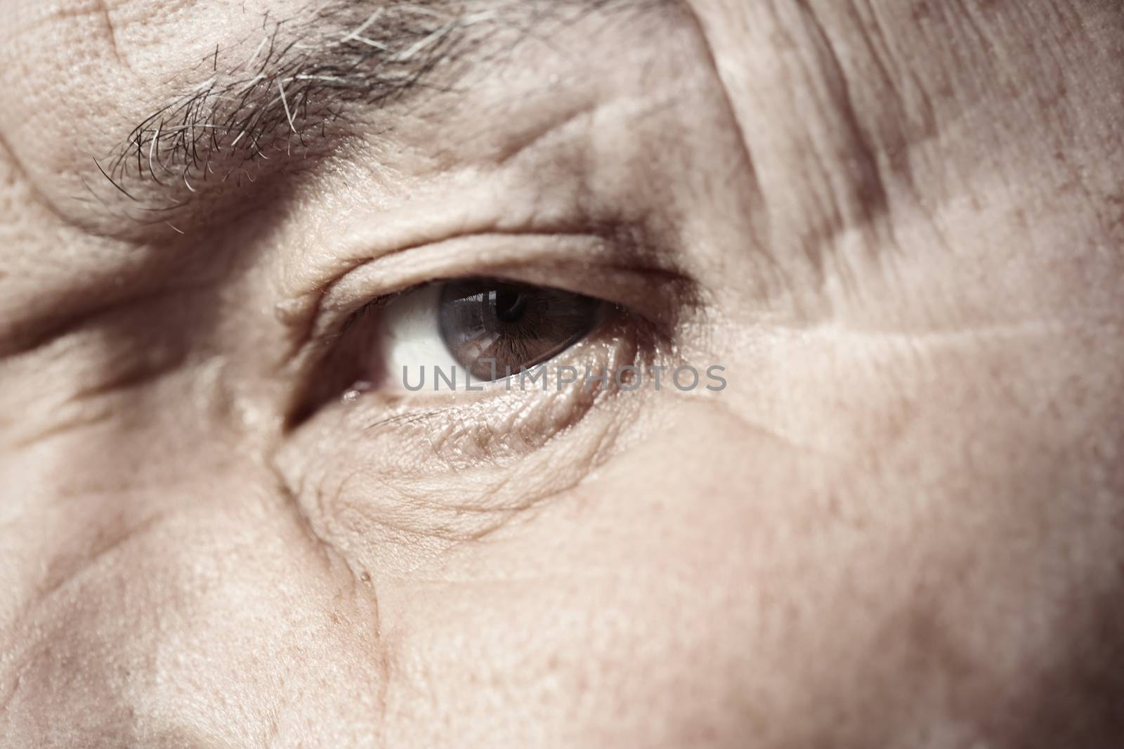 Close-up view on the eye of elderly human
