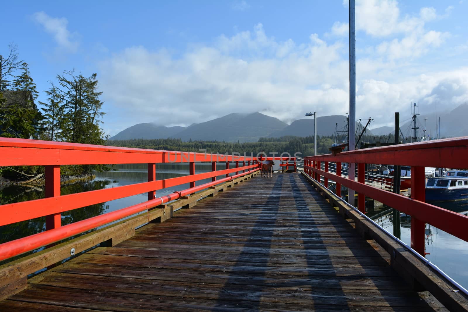 Japanese dock, Ucluelit BC by pelt69