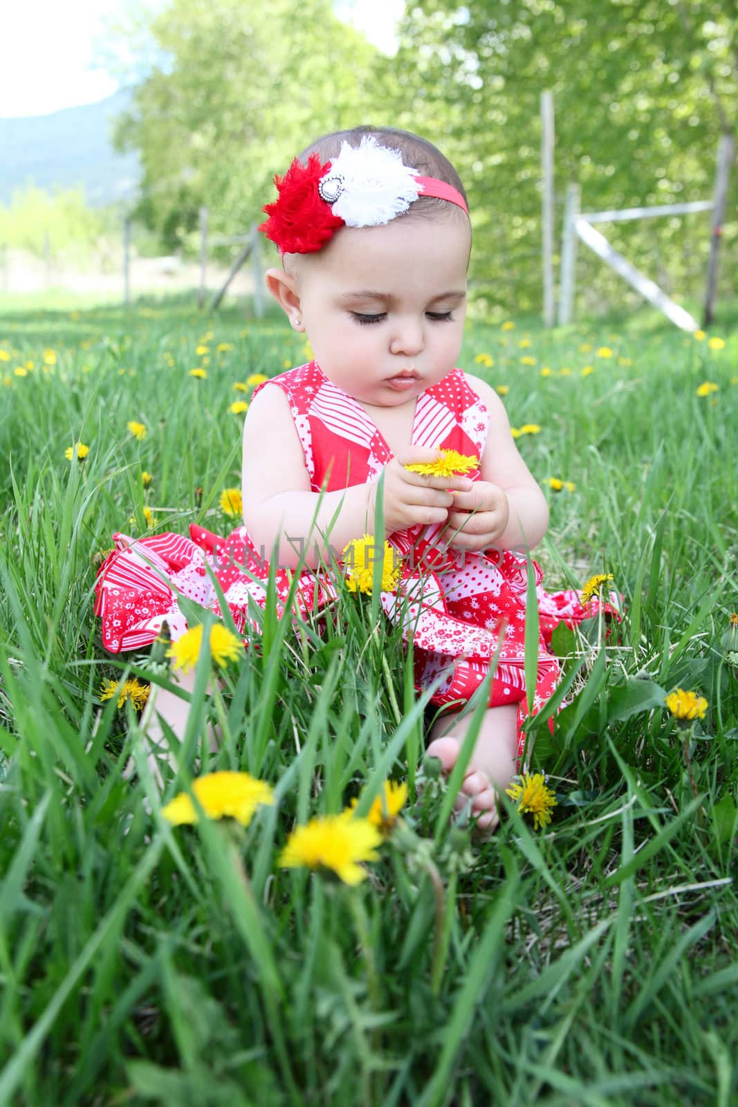 Brunette baby girl sitting outside in the field