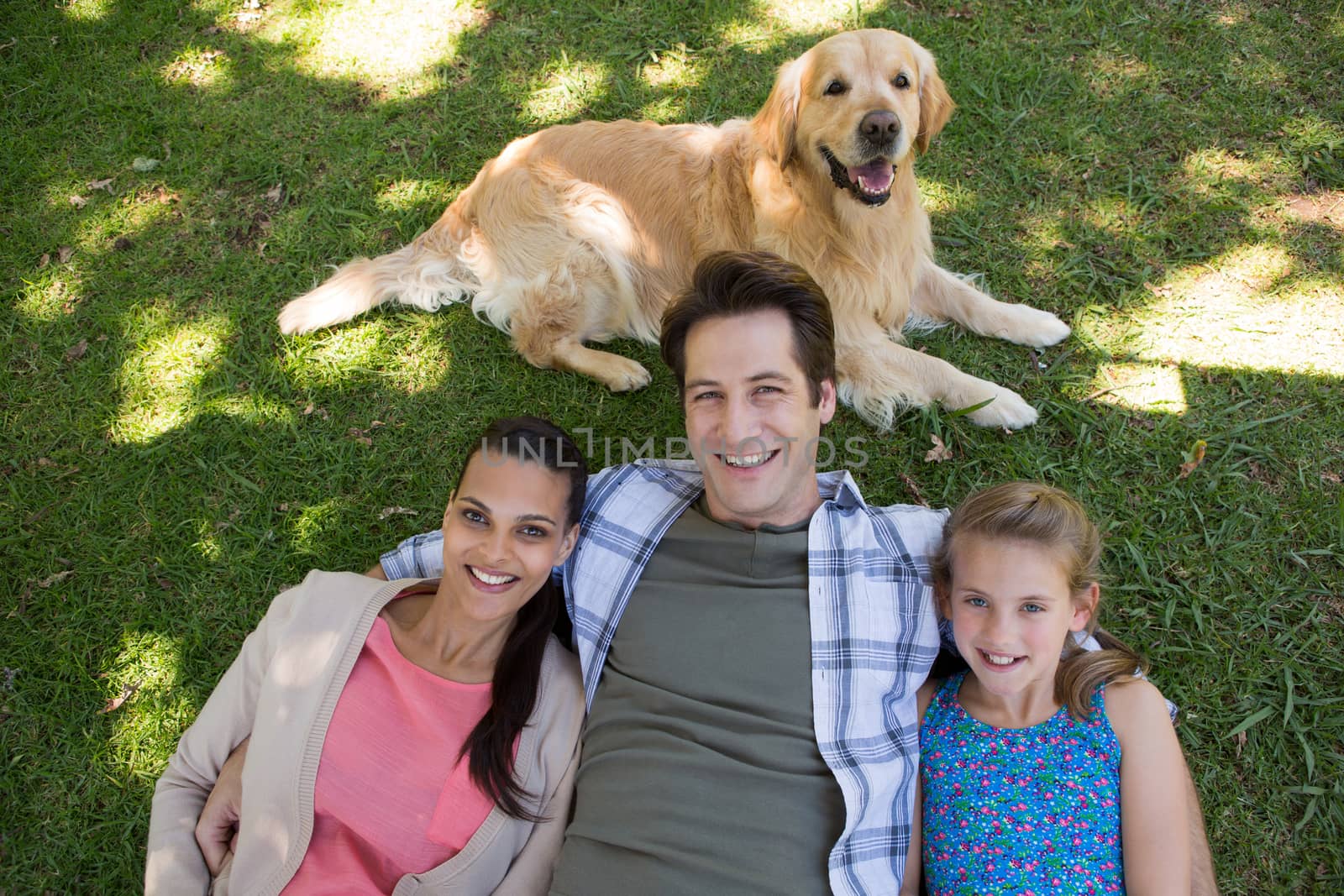 Happy family with their dog in the park by Wavebreakmedia