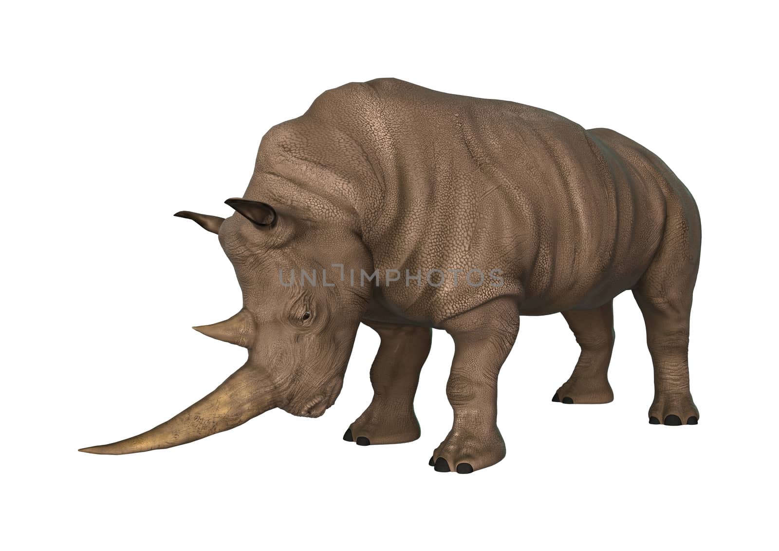 3D digital render of a rhinoceros isolated on white background