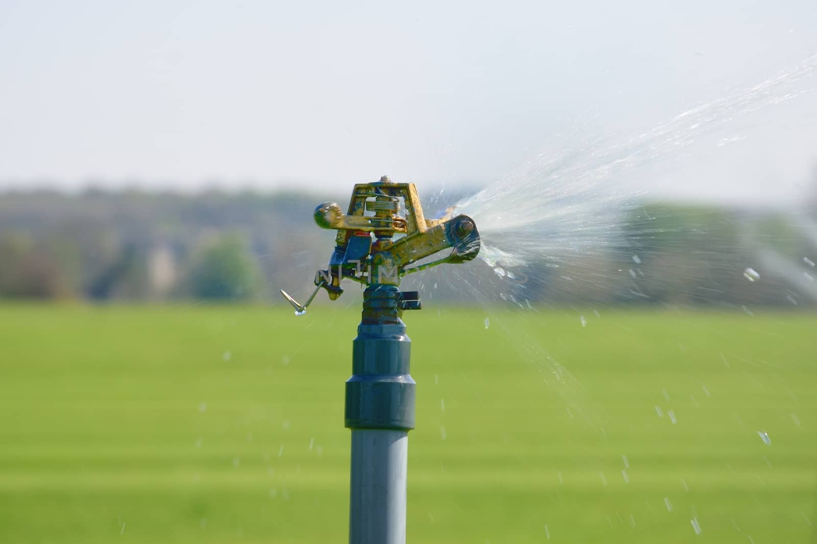 Automatic watering spout  by pauws99