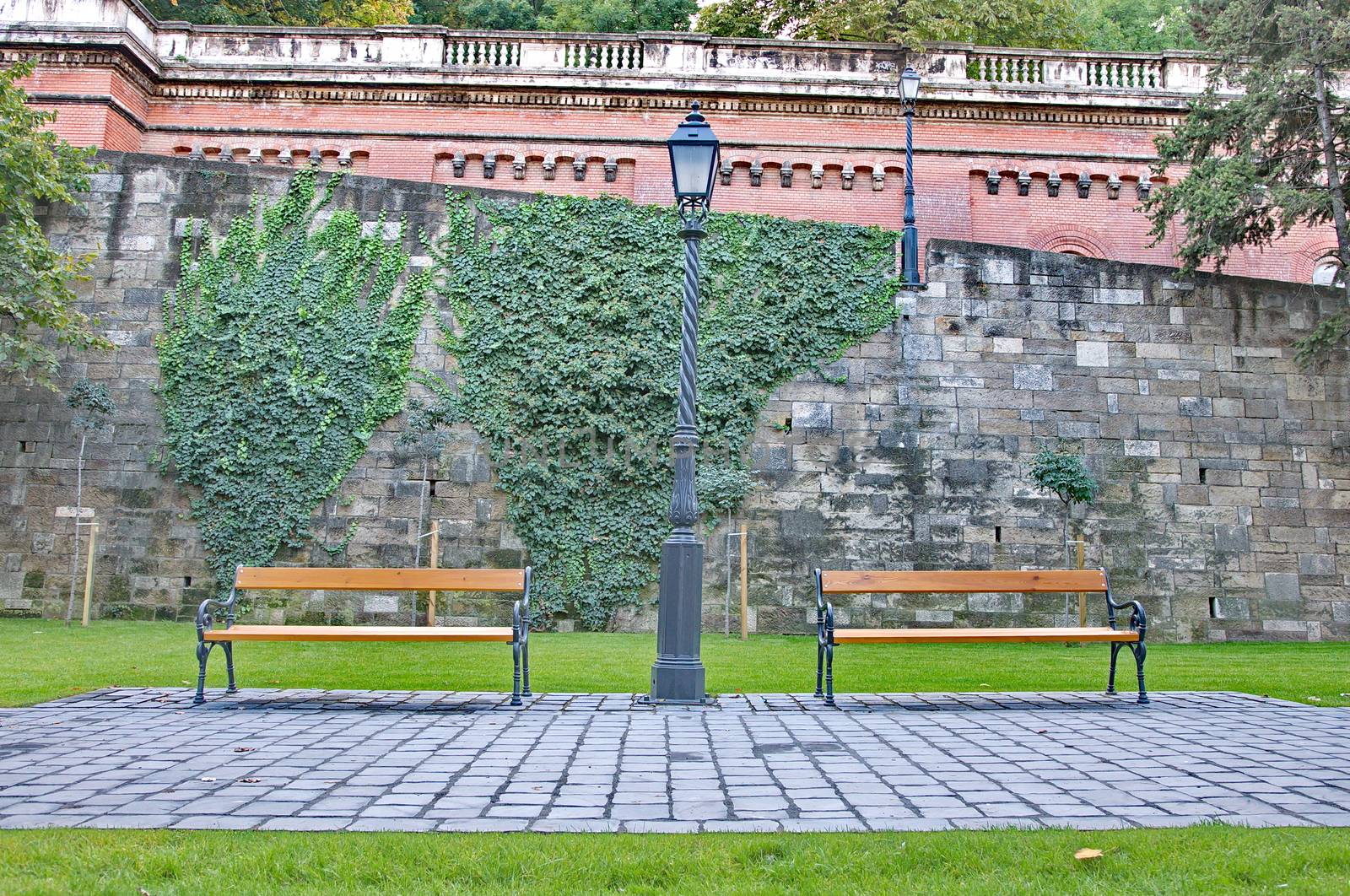 Bench in a green park