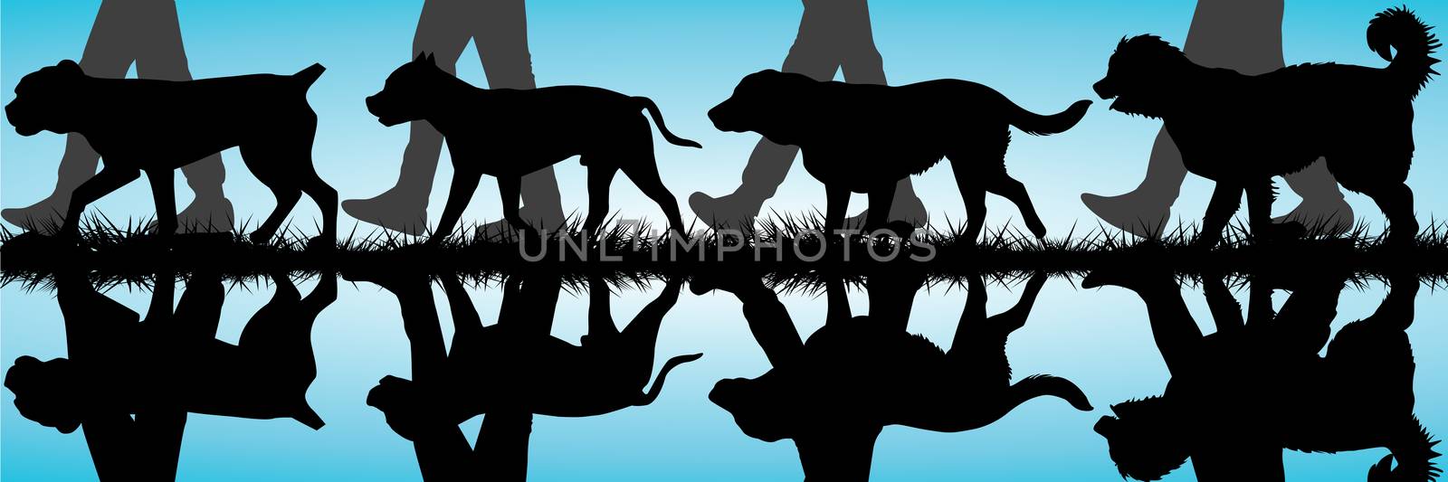 Amstaff, Presa Canario, Labrador and Caucasian Shepherd silhouet by hibrida13